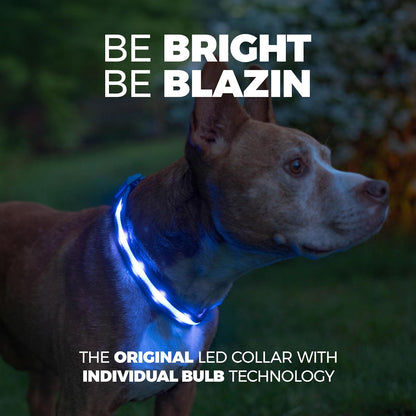 Light up Dog Collar - the Original LED Dog Collar - USB Rechargeable - Waterproof - 1,000 Feet of Visibility - Dog Collar Light for Small, Medium, Large Dogs - USA Brand